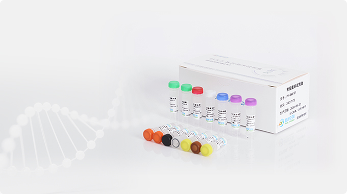 常规建库试剂盒