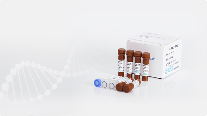 芯片清洗试剂盒