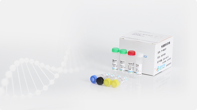 快速建库试剂盒